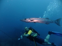 IMG-20160317-WA0027 (Copier)