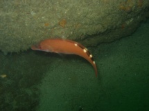 09-06-2007_10-22-40.jpg_backup