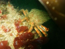 09-06-2007_10-24-01.jpg_backup