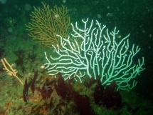 09-06-2007_10-24-20.jpg_backup