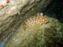 09-06-2007_10-27-24.jpg_backup