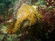 10-06-2007_10-40-31.jpg_backup