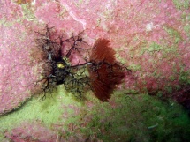 10-06-2007_10-42-37.jpg_backup