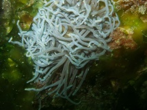 10-06-2007_11-01-14.jpg_backup