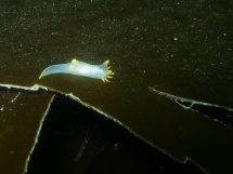 10-06-2007_15-48-13.jpg_backup