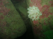 10-06-2007_16-08-46.jpg_backup