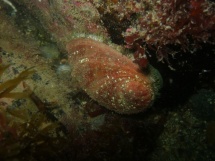 10-06-2007_16-16-52.jpg_backup