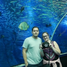 Gwladys et Jérémy à Nausicaa