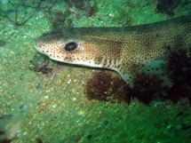 10-05-2008_11-29-33.jpg_backup