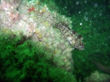 10-05-2008_14-29-24.jpg_backup