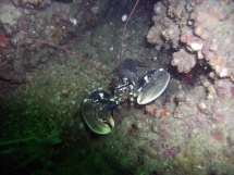 10-05-2008_14-33-22.jpg_backup