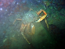 10-05-2008_14-38-03.jpg_backup