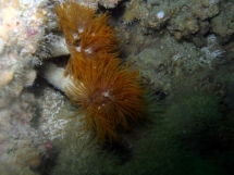 10-05-2008_14-47-58.jpg_backup