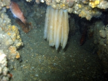 10-05-2008_14-53-51.jpg_backup