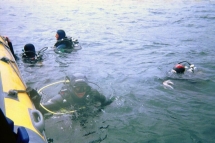 10c_depart_en_plong_e.jpg_backup