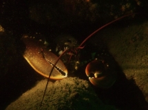 11-05-2008_12-26-33.jpg_backup