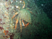 11-05-2008_12-27-28.jpg_backup