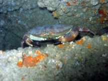 11-05-2008_12-28-40.jpg_backup