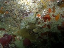 11-05-2008_12-32-33.jpg_backup