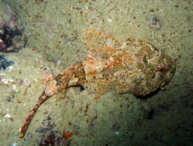 11-05-2008_12-41-06.jpg_backup