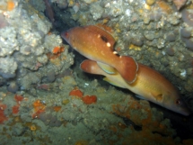 11-05-2008_16-05-37.jpg_backup