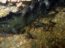 11-05-2008_16-13-12.jpg_backup