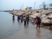 2010-05-05_15-31-24.jpg_backup