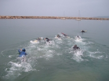 2010-05-05_15-34-55.jpg_backup