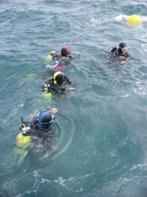 2010-05-06_14-15-18.jpg_backup