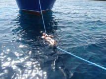 Egypte-Safaga-2010-10-0571-Alain.JPG_backup