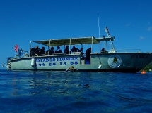 Saison 2019-2020 Martinique_8_1