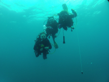 50c730c4-2d6c-45d8-b883-061b8cce2400