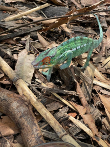 681f8e65-3560-4b53-9239-441e18ea3988