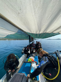 cc723e5a-73f8-4815-ab2e-e2b875cb3aab