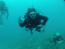 da5b9e12-25d8-4af2-b04f-3a6289ae238e