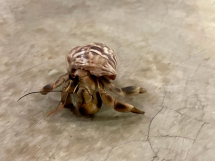 f13d6166-30ef-4161-aff8-686290a1ae6c